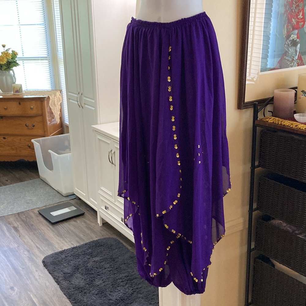 COSTUME - Belly Dance Skirt with Harem Pants 2-piece set